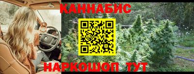 прущие грибы Канаш
