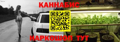 прущие грибы Канаш