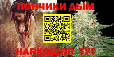 ALPHA PVP Камышлов