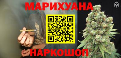 прущие грибы Канаш