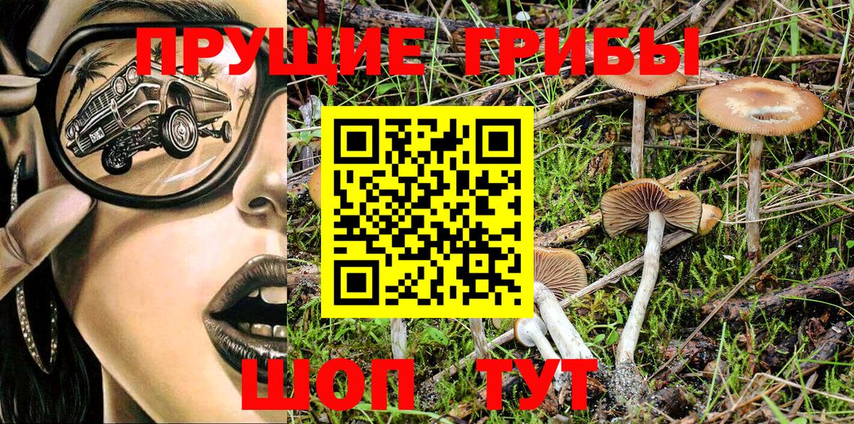 Галлюциногенные грибы Psilocybe  Галлюциногенные грибы GOLDEN TEACHER  Вход с VPN  Конаково 